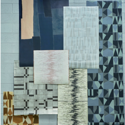 astere bleu (2)